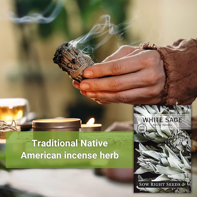 Sow Right Seeds - White Sage Seed for Planting - Non-GMO Heirloom Packet with Instructions for Planting and Growing a Home Herb Garden - Indoors or Outdoors - Make Your Own Herbal Incense (2)