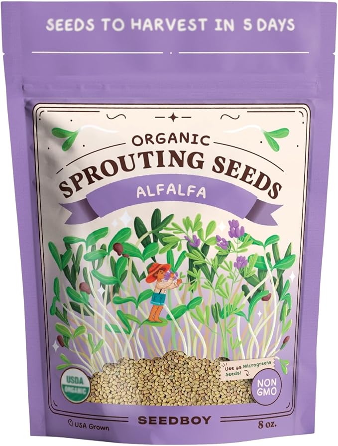 Organic Alfalfa Seeds for Sprouting - Non-GMO, USA Grown Alfalfa Microgreens Sprouting Seeds Mix - Makes 8 Quarts of Sprouts, 24 Servings (8 oz) (Alfalfa)