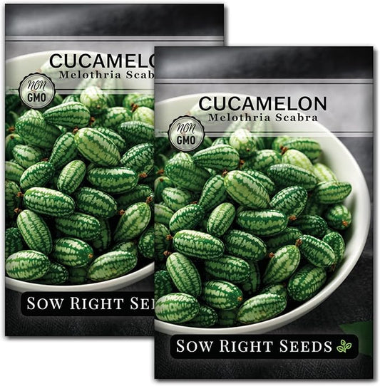 Sow Right Seeds - Cucamelon Seeds for Planting - Non-GMO Heirloom Packet with Instructions to Plant an Outdoor Home Vegetable Garden - Mini Bitter Mouse Melon, Mexican Sour Gherkin - Rare Variety (2)