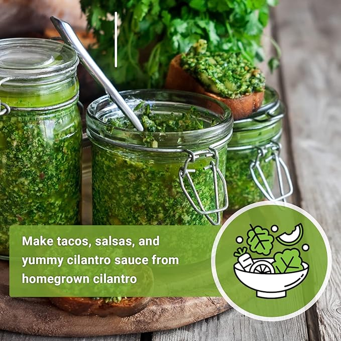 Sow Right Seeds - Cilantro Seeds for Planting - Non-GMO Heirloom Packet with Instructions to Grow a Kitchen Herb Garden - Great Addition to Your Cooking - Make Coriander Seasoning - Zesty Herb (2)