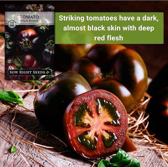 Sow Right Seeds - Black Beauty Tomato Seeds for Planting - Non-GMO Heirloom Packet with Instructions to Plant an Outdoor Home Vegetable Garden - Rare Deep Purple Slicing Variety - Sweet Flavor (2)