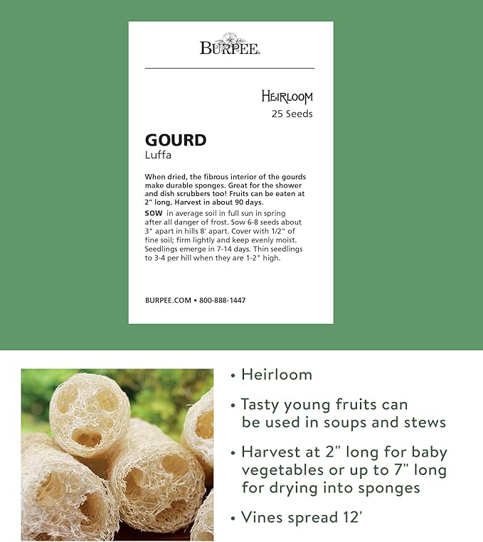 Burpee Ornamental Luffa Gourd Seeds 25 seeds