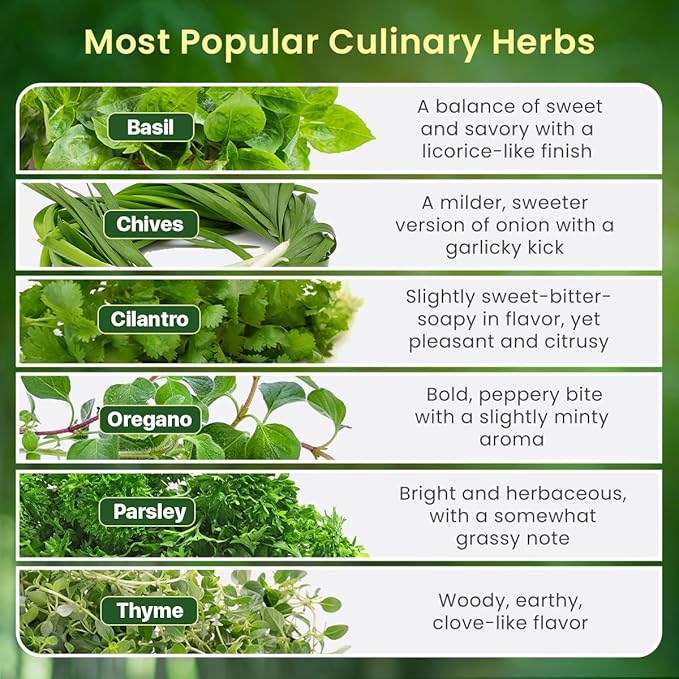 Herb Garden Kit Indoor, Non-GMO Herb Seeds, Native Planting Soil, Gardening Gifts for Women and Men, Complete 6 Herb Starter Kit, Kitchen Window Herb Garden, DIY Grow Plants at Home, Herb Growing Kit