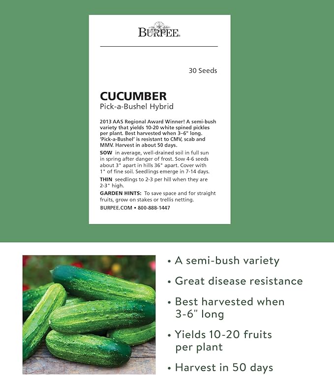 Burpee 'Pick-A-Bushel' Pickling Cucumber Seeds, 30 Non-GMO seeds