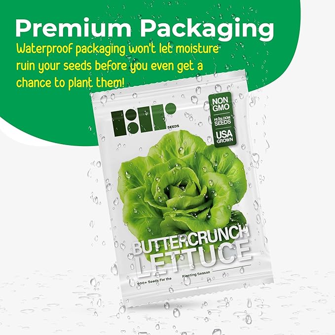 500 Buttercrunch Lettuce Seeds for Planting - Heirloom Non-GMO Vegetable Seeds for Planting - Hydroponics - Microgreens - AKA Butterhead Lettuce, Boston Lettuce, Bibb Lettuce Lactuca Sativa