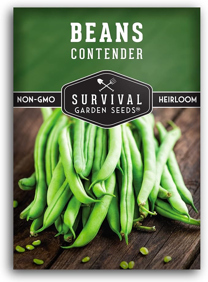 Survival Garden Seeds 1 Pack Contender Bush Bean Seeds for Planting with Instructions to Grow Delicious & Stringless Green Beans in Your Home Vegetable Garden - Non-GMO Heirloom Garden Seeds
