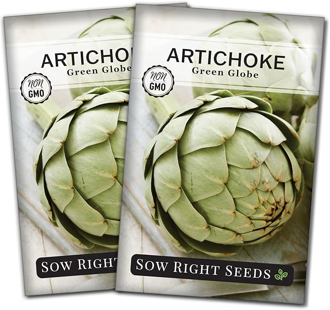 Sow Right Seeds - Artichoke Green Globe Seeds for Planting - Non-GMO Heirloom Packet with Instructions to Plant and Grow an Outdoor Home Vegetable Garden - Perennial - Tall with Edible Flower Buds (2)