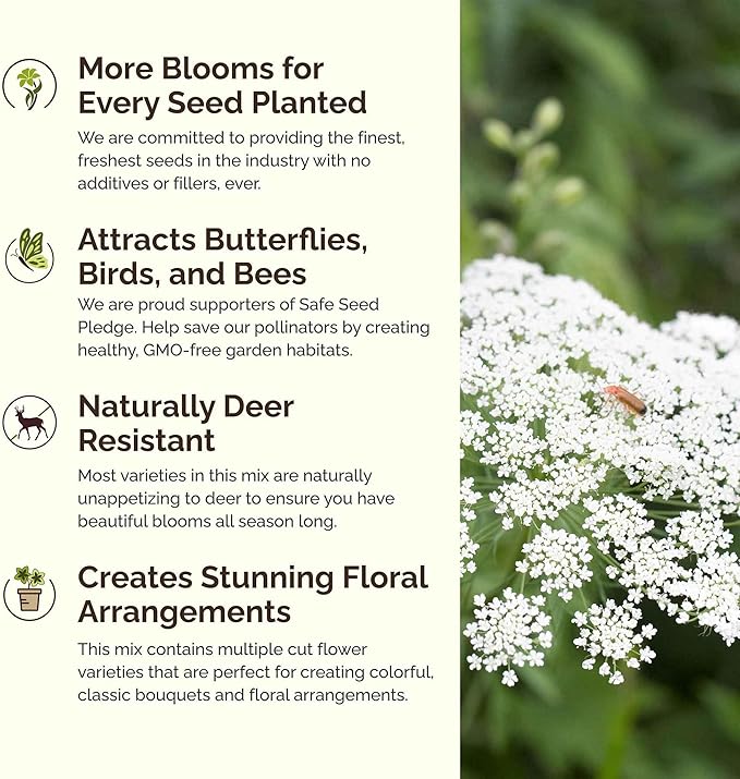 Eden Brothers Moon Garden Flower Mixed Seeds for Planting, 1/4 lb, 120,000+ Seeds with Cosmos Purity, Bishop's Flower | Attracts Pollinators, Plant in Spring or Fall, Zones 3, 4, 5, 6, 7, 8, 9, 10