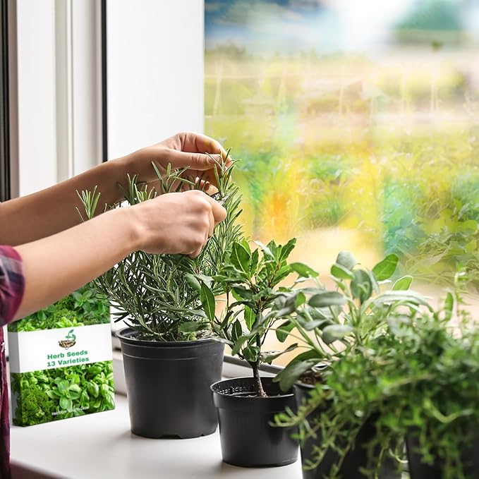 15,000+ Herb Seeds for Planting, 13 Varieties Heirloom Culinary Herb Seeds Gift Pack, Non-GMO Herb Seed Garden Kit for Indoor Outdoor Growing, Home Hydroponic Fresh Food Herb Supply