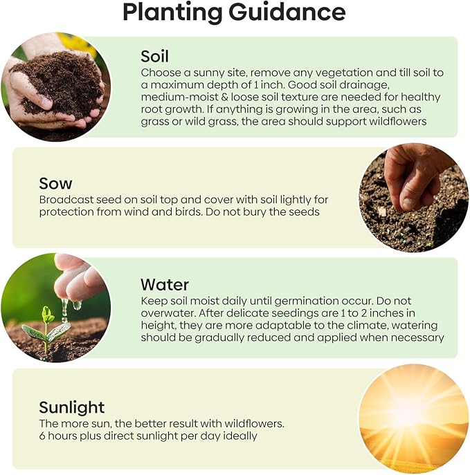 Wildflower Seeds Mix, 2 Oz, 50,000+ Seeds, 28 Varieties Flowers Seeds for Planting, Annual Perennial Garden Seeds to Attract Bees, Butterflies & Birds