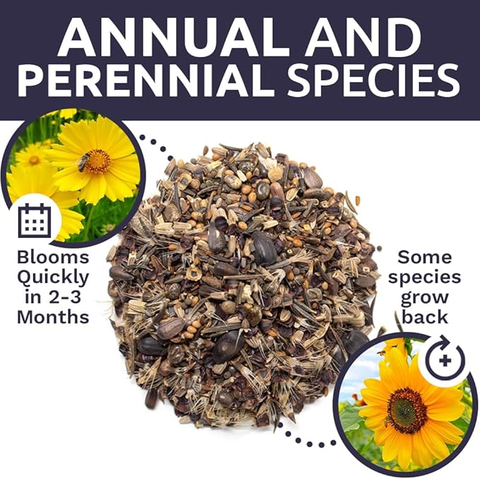 Bee Friendly Wildflower Seed Mix - Bulk 1/4 Pound Bag - Over 30,000 Open Pollinated Seeds - 100% Pure Live Seed - Save The Bees!