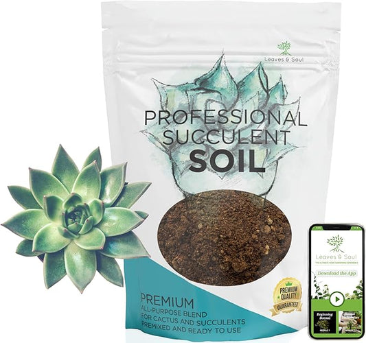 Extra Large 8.2 QT Bag Succulent Soil Premium All Purpose Blend | Pre-Mixed Ready to Use for Cactus and Succulents | Canadian Peat, Course Sand, Pinebark | Made in USA