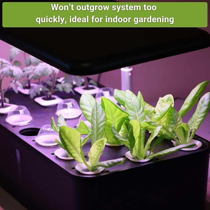 Sow Right Seeds - Hydroponic Vegetable Seeds for Planting - Lettuce, Kale, Arugula, Pak Choi, Watercress & Cherry Tomato Seeds for Planting and Growing Hydroponics - Perfect for Indoor Growing System