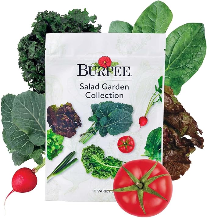 Burpee Salad Garden Collection 10 Packets of Non-GMO 4 Lettuce Varieties Tomato, Radish, Spinach, Kale, Scallions & Mesclun Mix | Seeds for Planting Vegetables