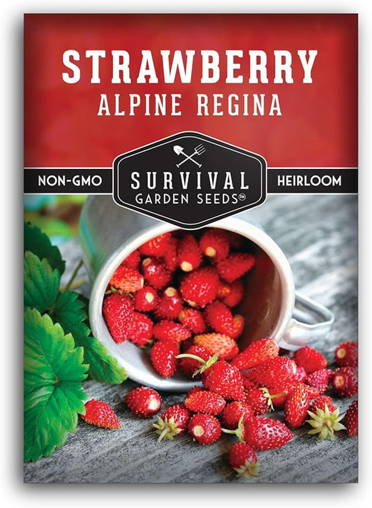 Survival Garden Seeds Alpine Regina Strawberry - 1 Packet of Fruit Seed with Instructions to Plant & Grow Wild Strawberries/Woodland Fruits in The Home Vegetable Garden - Non-GMO Heirloom Variety