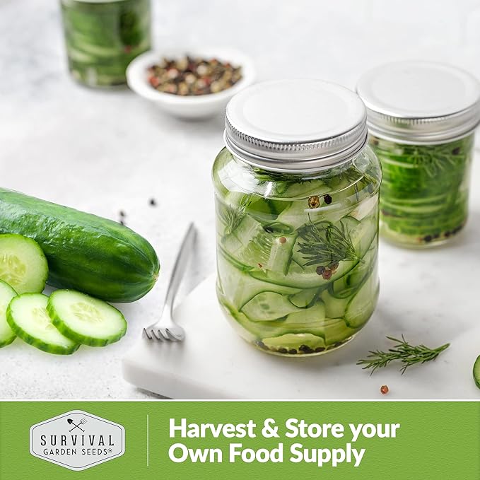 2 Packs Muncher Cucumber Seed for Planting - Packet with Instructions to Grow Burpless Slicing Cucumbers in Your Home Vegetable Garden - Non-GMO Heirloom Variety - Survival Garden Seeds