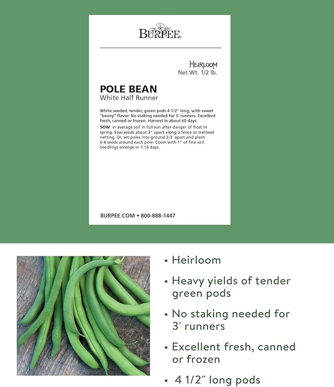 Burpee White Half Runner Pole Bean Seeds 8 ounces of seed