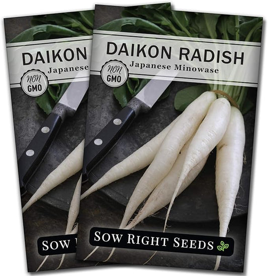 Sow Right Seeds - Japanese Minowase Daikon Radish Seeds for Planting - Non-GMO Heirloom Packet with Instructions to Plant a Home Vegetable Garden - Spring or Fall Planting Outdoors - Long White (2)