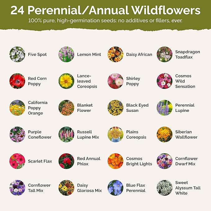 Eden Brothers Southeast Wildflower Mixed Seeds for Planting, 5 lb, 2,400,000+ Seeds with Cornflower, Blanket Flower | Attracts Pollinators, Plant in Spring or Fall, Zones 3, 4, 5, 6, 7, 8, 9, 10