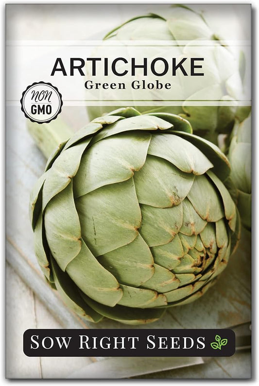 Sow Right Seeds - Artichoke Green Globe Seeds for Planting - Non-GMO Heirloom Packet with Instructions to Plant and Grow an Outdoor Home Vegetable Garden - Perennial - Tall with Edible Flower Buds (1)