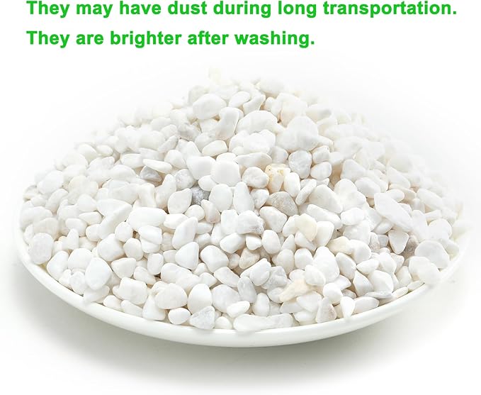 2.4lb Succulent and Cactus Bonsai DIY Rocks, White Gravel for Terrarium, Fairy Gardening, Top Dressing, Mini White Rocks