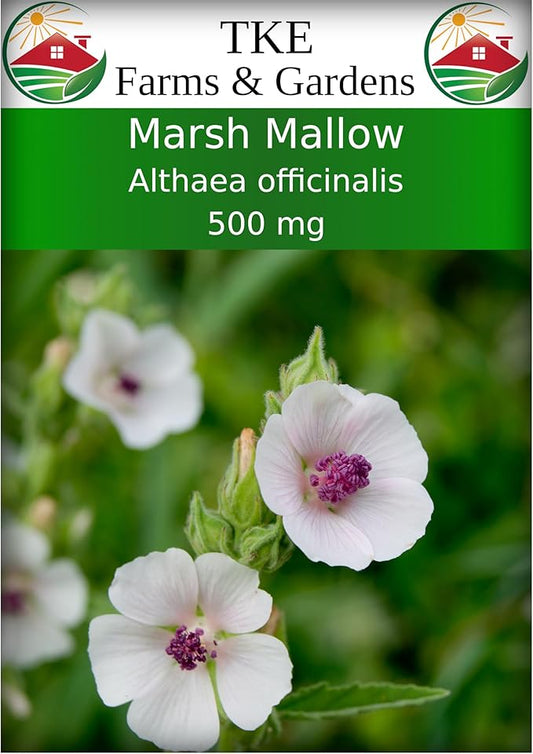 TKE Farms & Gardens - Marshmallow Seeds for Planting, 500 mg, 250 Heirloom Seeds, Non-GMO, Packet Includes Instructions for Growing, Althaea officinalis. Qty 1