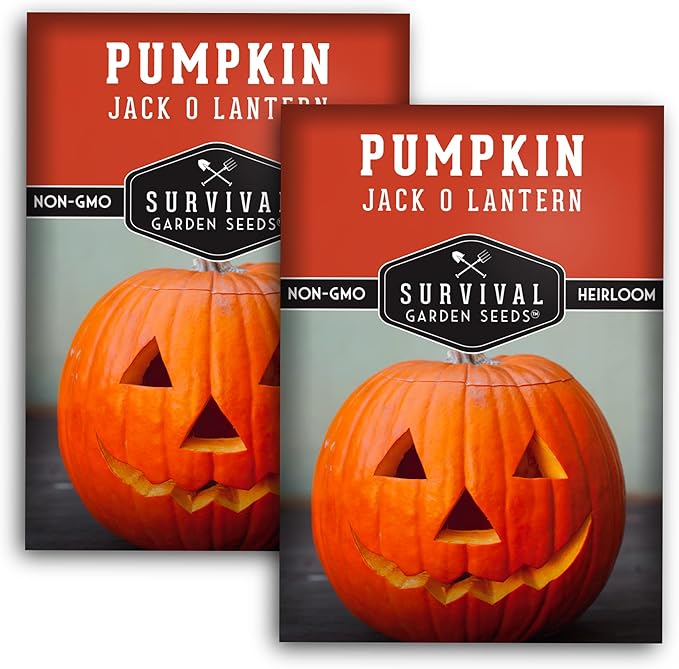 Survival Garden Seeds - Jack-O-Lantern Pumpkin Seed for Planting - 2 Packs with Instructions to Plant and Grow Orange Carving Pumpkins in Your Home Vegetable Garden - Non-GMO Heirloom Variety