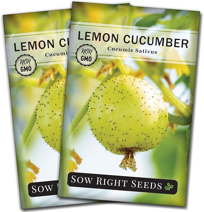 Sow Right Seeds - Lemon Cucumber Seeds for Planting - Non-GMO Heirloom Seeds with Instructions to Plant and Grow a Home Vegetable Garden - Unique Round Variety with Melon Flavor for Outdoors (2)