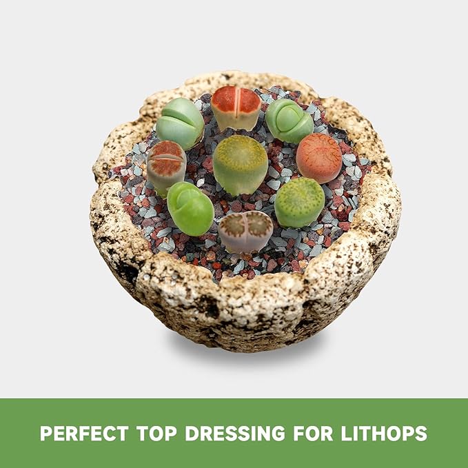 Enhance Your Plant's Growth with Our 2.5lb Premium Horticultural Gritty Mix Lava Rock Pebbles Maifanitum Potting Soil Amendment -Perfect for Succulents, Cactus, Bonsai, Terrariums, and Fairy Gardening