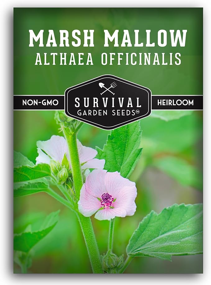 Marsh Mallow Seed for Planting - 1 Packet with Instructions to Plant and Grow Rare Medicinal Flowering Herbs in Your Home Vegetable Garden - Non-GMO Heirloom Variety - Survival Garden Seeds