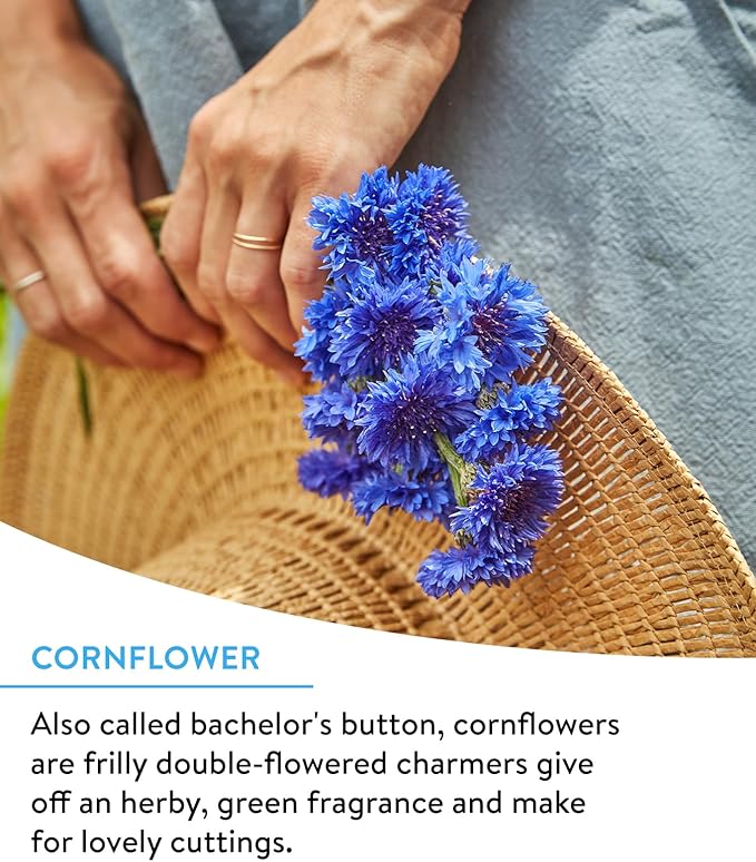 Burpee Wildflower 25,000 Bulk, 1 Bag 18 Varieties of Non-GMO Flower Seeds for Hummingbirds and Butterflies