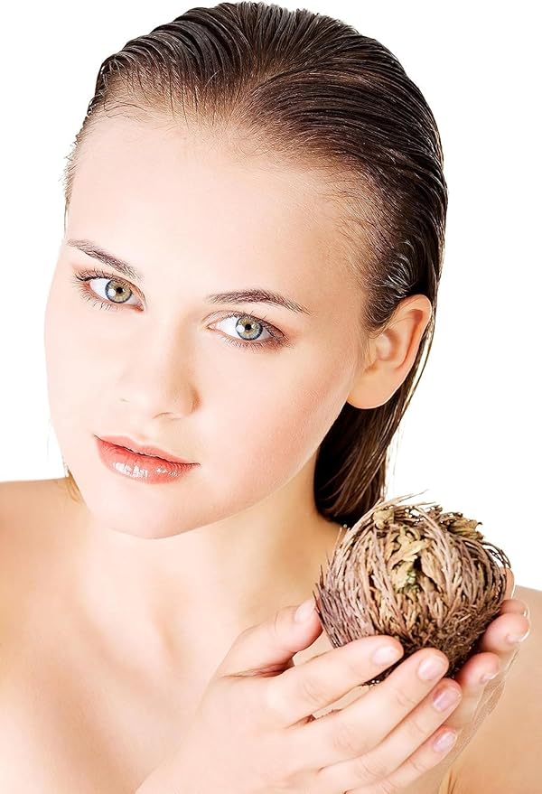 TWO - Rose of Jericho Flower I MEDIUM Size | Flor de Jericó - Resurrection Plant | Selaginella Lepidophylla | Dried Rose I Doradilla Plant | 3''' - 4'' each I Spiritual Cleansing, Luck, and Prosperity