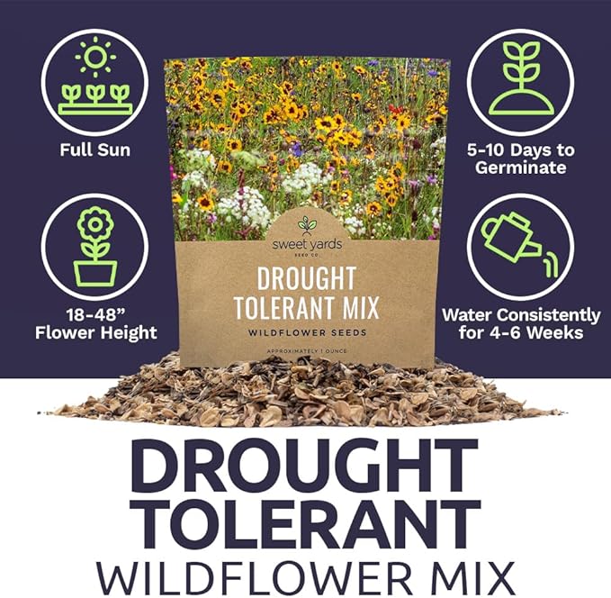 Drought Tolerant Wildflowers Mix – Extra Large Packet – Over 7,500 Open Pollinated Non-GMO Seeds – 21 Different Dryland Species