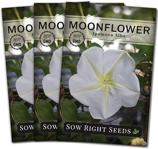 Sow Right Seeds - Moonflower (Ipomoea alba) Flower Seeds for Planting - Beautiful Flowers to Plant in Your Home Garden - Non-GMO Heirloom Seeds - Tall Annual Great for Cut Flowers - Wonderful Gift (3)