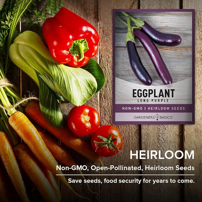 Gardeners Basics, Eggplant Seeds for Planting - (Long Purple) is A Great Heirloom, Non-GMO Vegetable Variety- 500 mg Seeds Great for Outdoor Spring, Winter and Fall Gardening