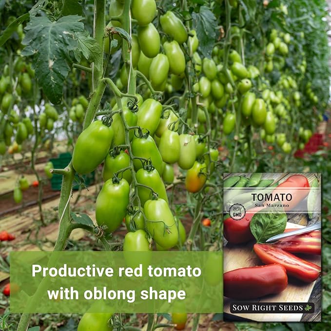 Sow Right Seeds - San Marzano Tomato Seeds for Planting - Non-GMO Heirloom Packet with Instructions to Plant a Home Vegetable Garden - Italian Classic Red Variety - Great for Sauce and Canning (4)