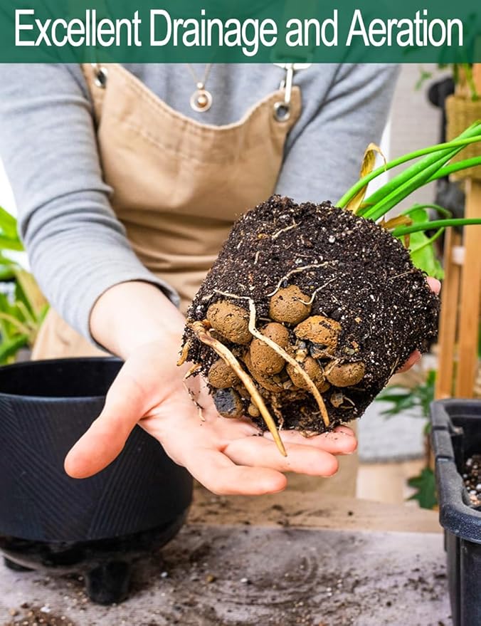 Expanded Hydroponic Clay Pebbles 2.5qt, 8mm-12mm, Natural Organic Flower Orchid Plant Grow Media, Porous Stones for Hydroponics, Drainage, Decoration, Aquaponics and Other Gardening Essentials