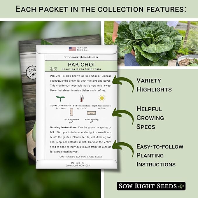 Sow Right Seeds - Hydroponic Vegetable Seeds for Planting - Lettuce, Kale, Arugula, Pak Choi, Watercress & Cherry Tomato Seeds for Planting and Growing Hydroponics - Perfect for Indoor Growing System