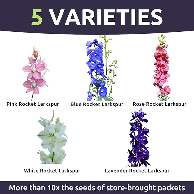 Rocket Larkspur - Imperial Mix - Large 1 Ounce Packet - 8,000 Flower Seeds for Planting - Consolida ajacis