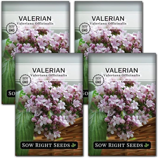 Sow Right Seeds - Valerian Seeds for Planting - Non-GMO Heirloom Packet with Instructions to Plant an Outdoor Herb Garden - Fragrant with Medicinal Benefits - Valerian Root for Sleep & Calm (4)