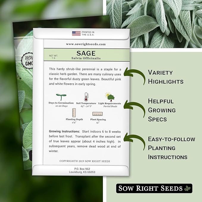 Sow Right Seeds - Sage Seeds for Planting - Non-GMO Heirloom Packet with Instructions to Plant and Grow Kitchen Herb Garden - Indoor or Outdoor - Great for Pollinators - Culinary Seasoning (1)