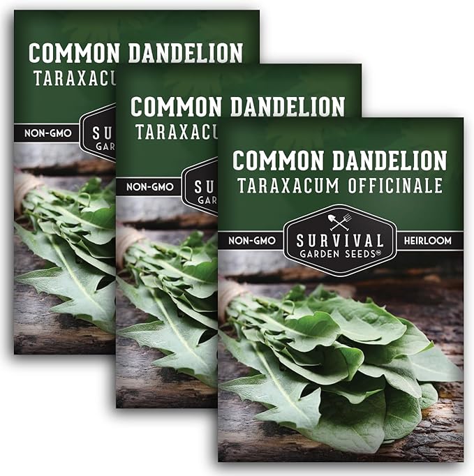 Survival Garden Seeds Common Dandelion Seed - 3 Packs with Instructions to Plant & Grow Nutritious Medicinal Plants & Leafy Greens in Your Home Herb or Vegetable Garden - Non-GMO Heirloom Variety