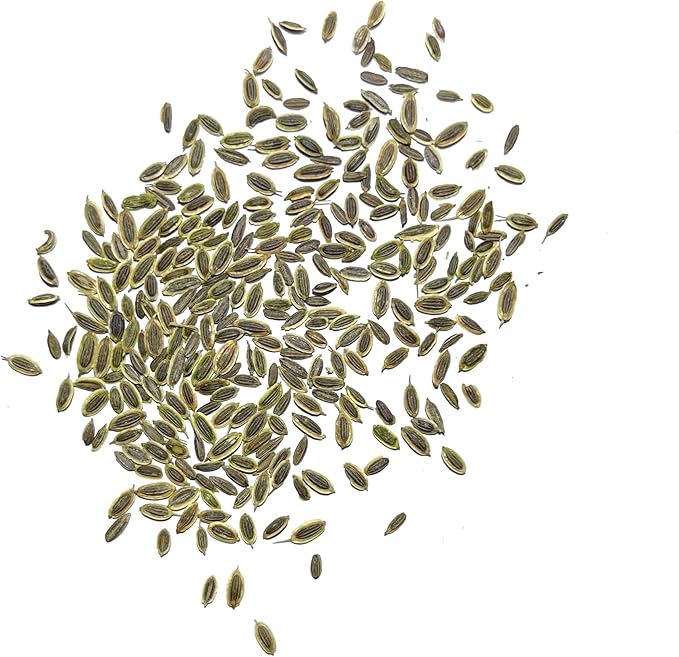 Seed Needs, Bouquet Dill Seeds - 250 Heirloom Seeds for Planting Anethum graveolens - Culinary Herb to Grow Indoors or Outdoors, Non-GMO & Untreated (5 Packs)