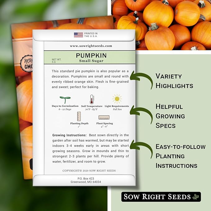 Sow Right Seeds - Small Sugar Pumpkin Seed for Planting - Non-GMO Heirloom Packet with Instructions to Plant a Home Vegetable Garden - Mini Orange Sugar Variety on Long Vines - Fast Growing (1)