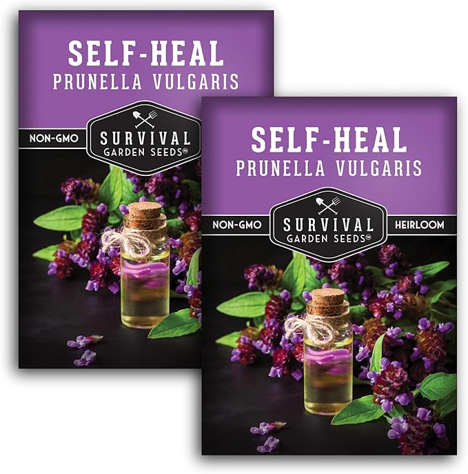Survival Garden Seeds Selfheal Seed for Planting - 2 Packs with Instructions to Plant & Grow All-Heal Perennial Herb Plants in Your Home Flower & Herb Garden - Non-GMO Heirloom Variety
