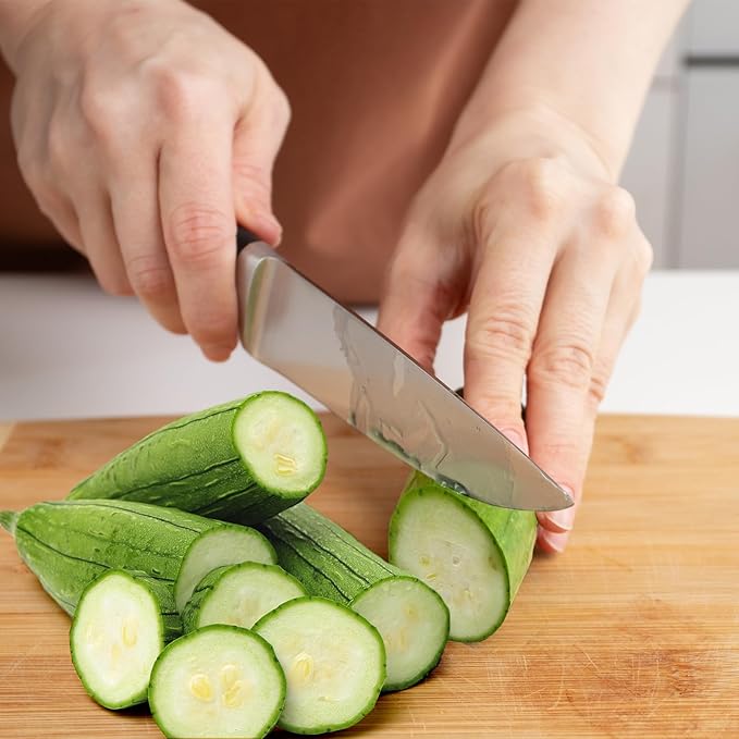 Luffa Seeds, Heirloom Loofah Seeds Packet for Planting Outdoor, Non-GMO Vegetable Seeds Garden Kit, Growing Supply for Bath Sponge for Fresh Veggie Food, Easy to Storage