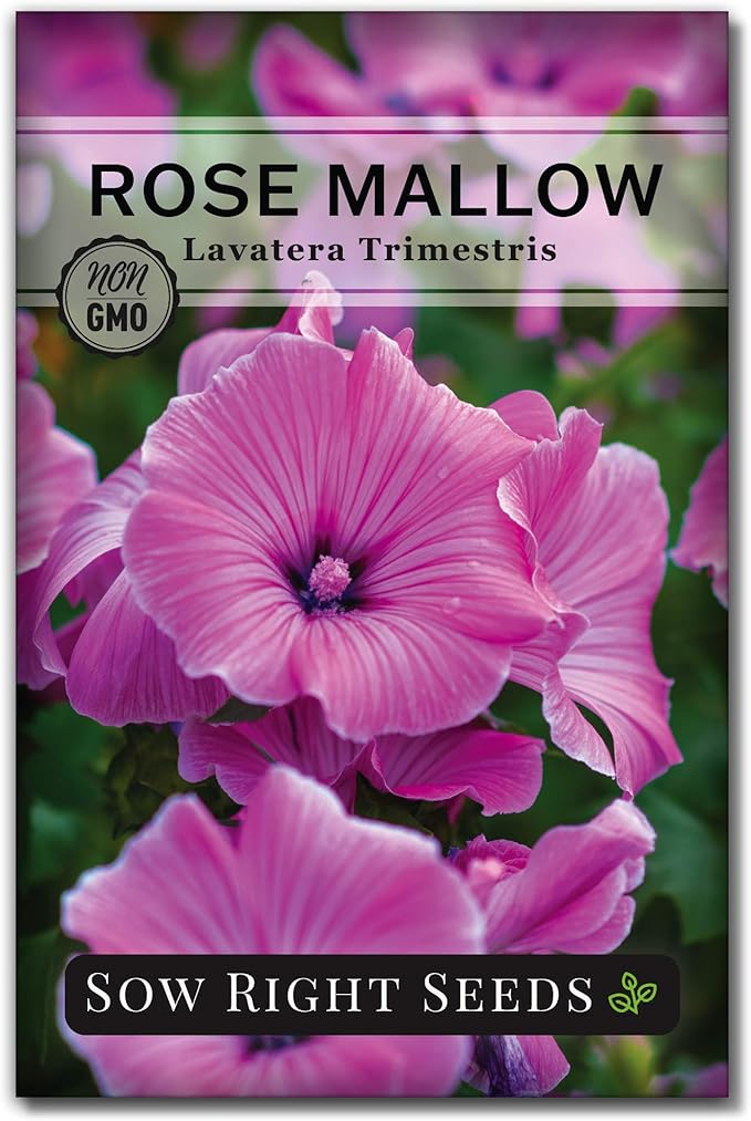 Sow Right Seeds - Collection of Pink Flower Seeds for Planting - Non-GMO Heirloom Packets with Instructions - Wonderful Rosy Blooms to Attract Pollinators - Cut and Come Again - Rare Varieties