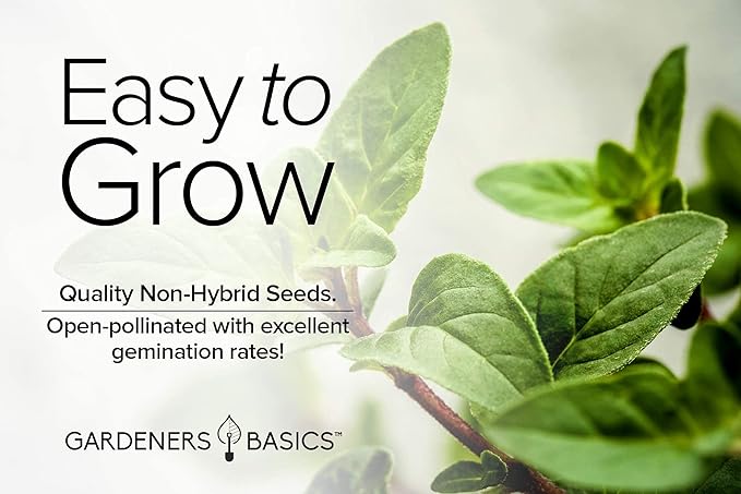 Gardeners Basics, Oregano Seeds for Planting Heirloom Non-GMO Herb Plant Seeds for Home Herb Garden Makes a Great Gift for Gardening