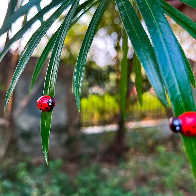 8pcs Plants Magnets Tiny Ladybug Pins Charms Funny Potted Plant Safe Magnets Cute House Plant Accessories,Christmas Decoration Gift for Plants Lovers (Ladybug)