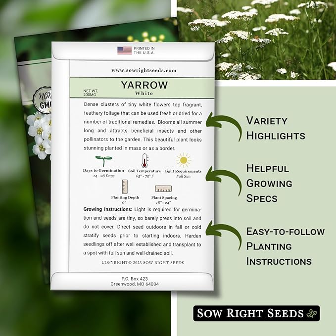 Sow Right Seeds - Common White Yarrow Seeds for Planting - Non-GMO Heirloom Packet with Instructions to Grow an Outdoor Flower Garden - Medicinal Herb & Native Wildflower - Perennial Achillea (1)
